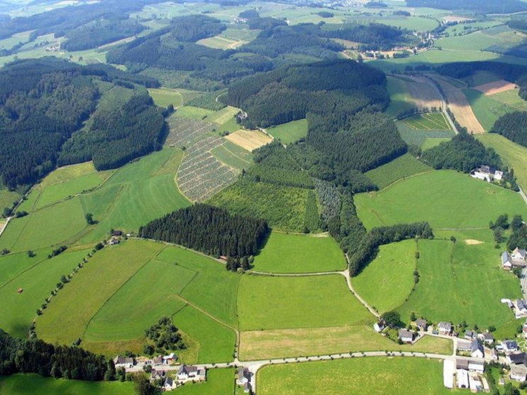 Quiet cozy apartment in Menkhausen Sauerland close to the ski area Schmallenberg Buitenkant foto