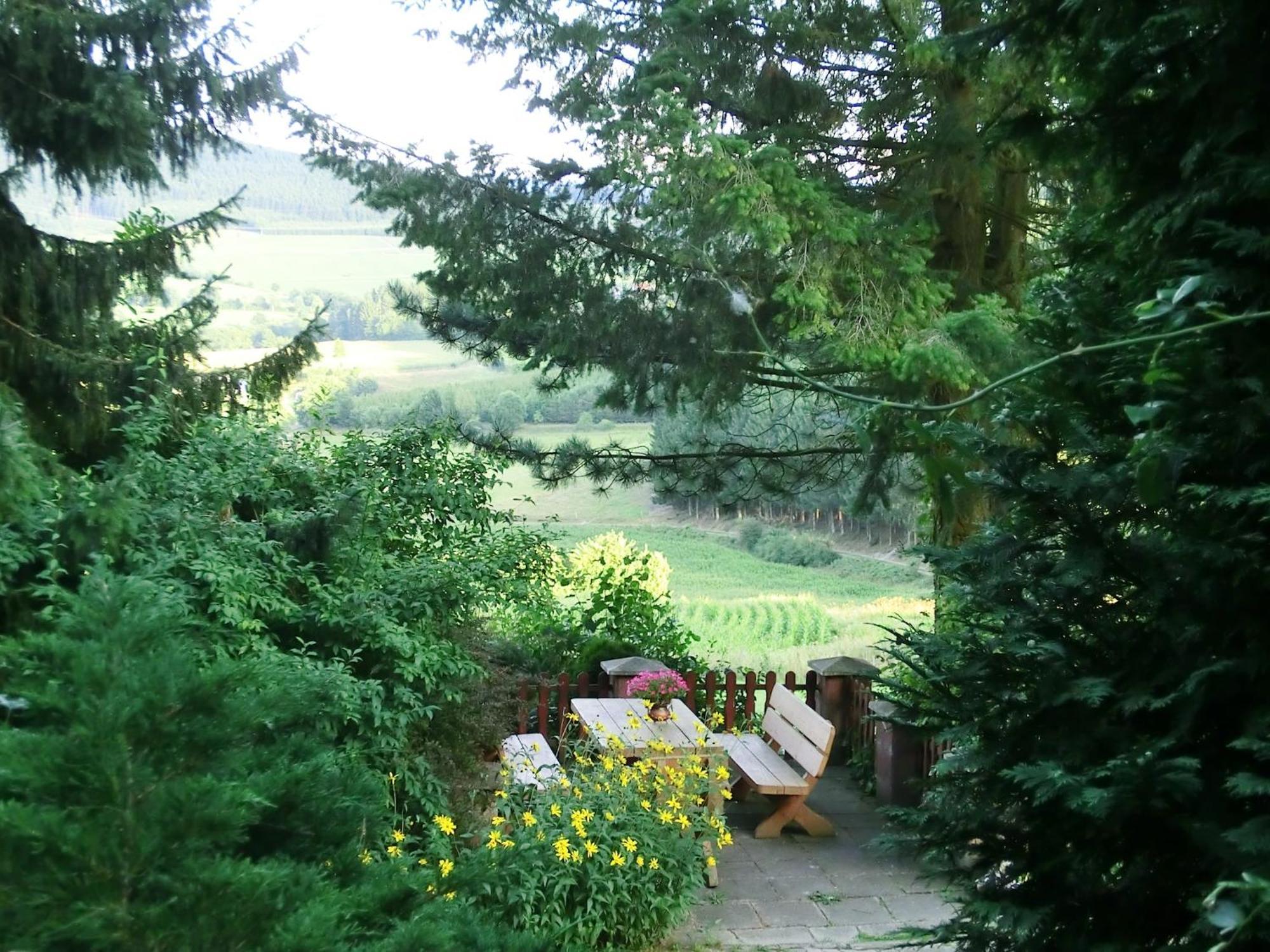 Quiet cozy apartment in Menkhausen Sauerland close to the ski area Schmallenberg Buitenkant foto