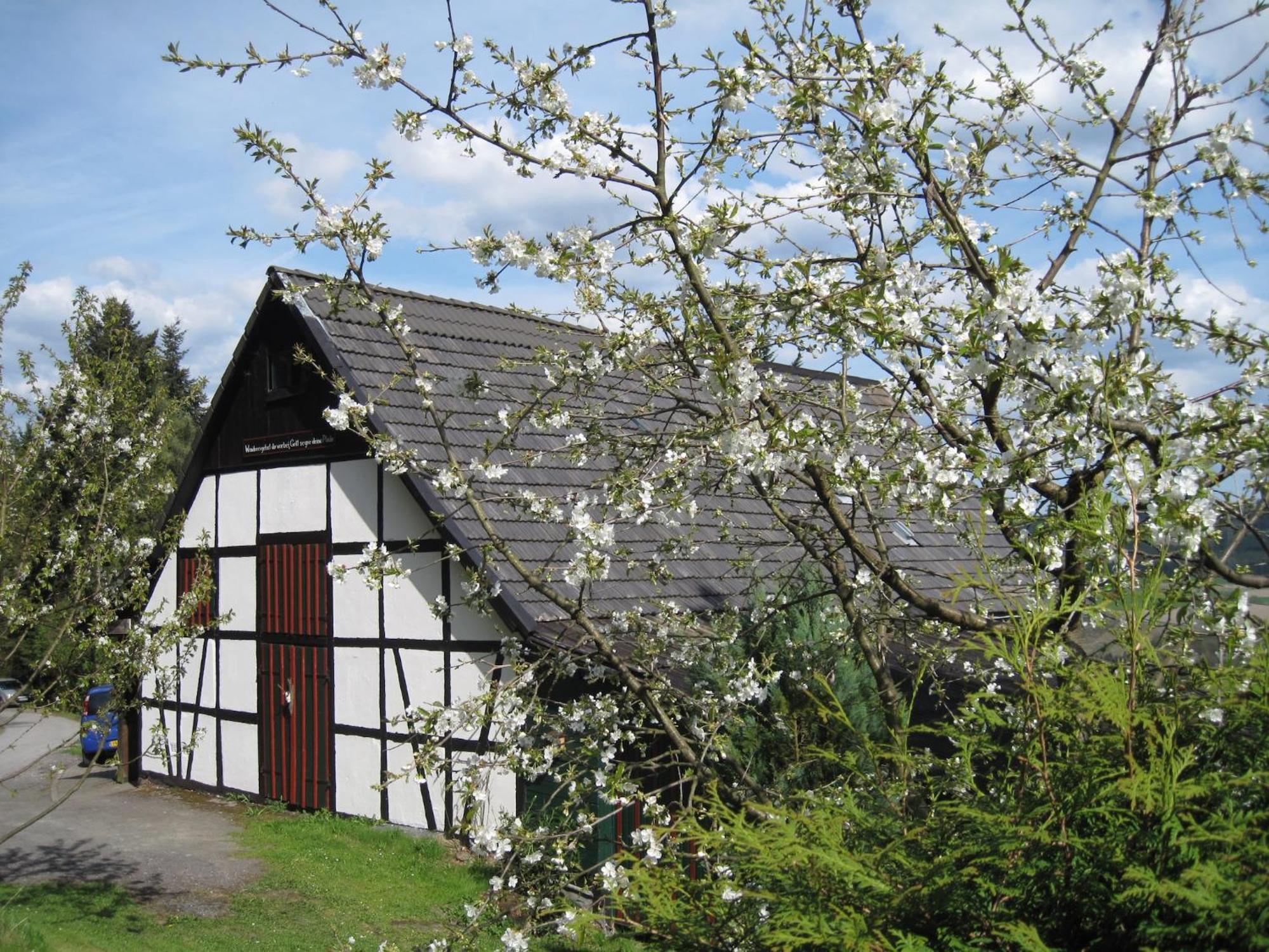 Quiet cozy apartment in Menkhausen Sauerland close to the ski area Schmallenberg Buitenkant foto
