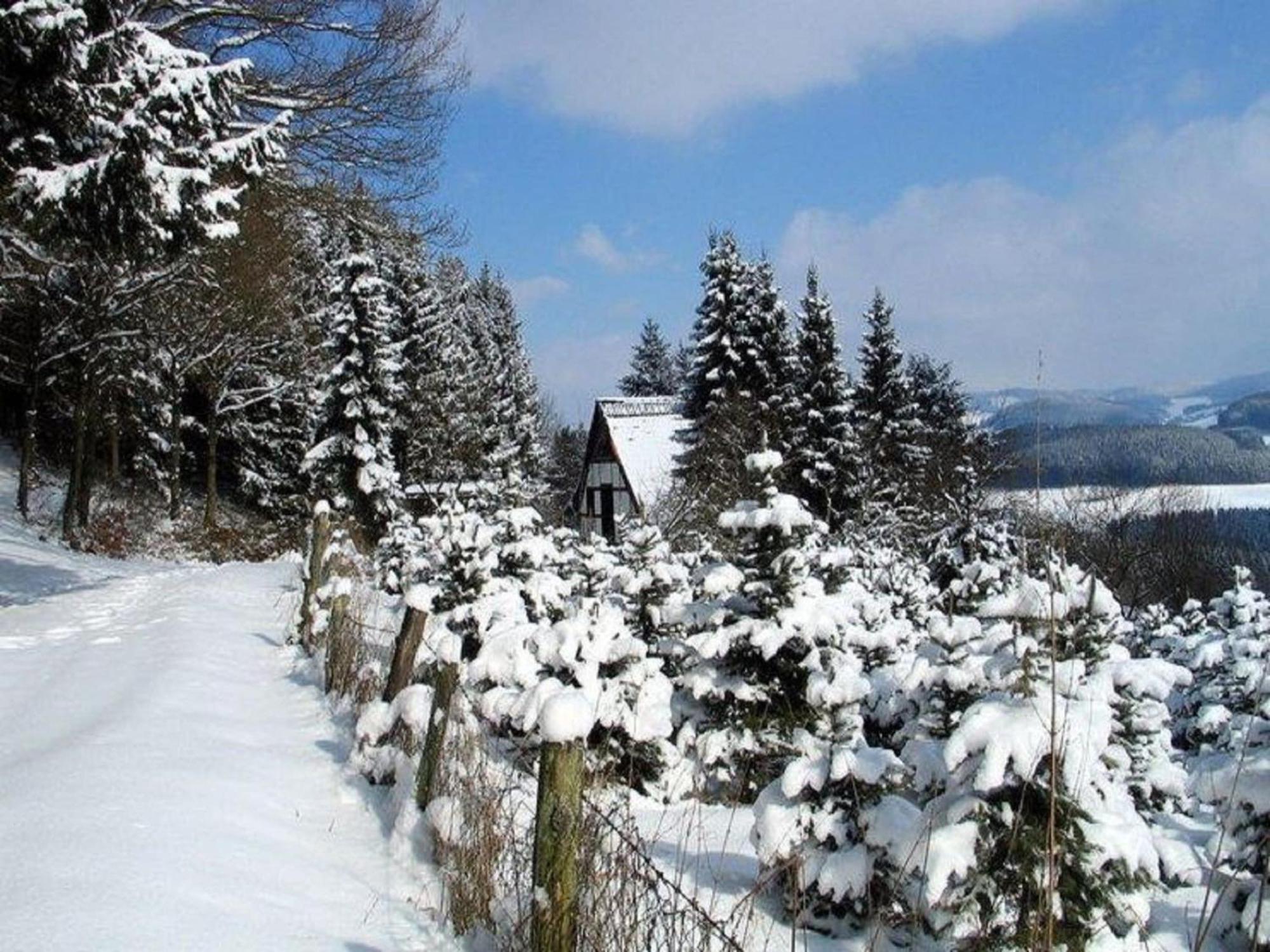 Quiet cozy apartment in Menkhausen Sauerland close to the ski area Schmallenberg Buitenkant foto